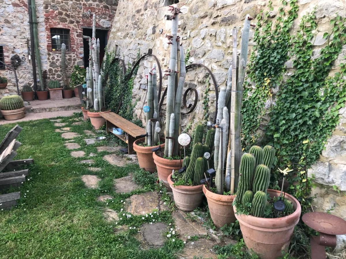 Case Di Vetulonia Castiglione della Pescaia Extérieur photo